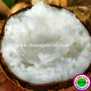 DỪA SÁP LOẠI 1 ĐẶC RUỘT (Trái 800gr-1Kg)