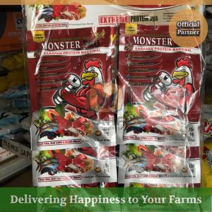 Monster Pro Extra Fooding Ayam Laga Berkualitas Jago Bangkok Thailand Aduan SN [KAHF PS]