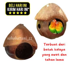 Glodok burung parkit | rumah burung batok kelapa