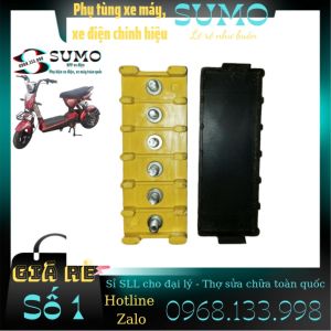 Chíp xi nhan xe điện 36V-60V - Phụ Tùng Xe SUMO