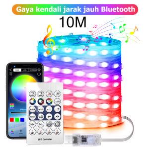 OSIDEN lampu hias 5/10/15/20M led strip sinkronisasi musik warna warni ARGB lampu 5V/USB lampu natal