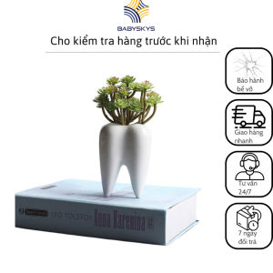 Chậu Sứ Trồng Cây Sen Đá Xương Rồng Hình Chiếc Răng Trang Trí Để Bàn Chậu Không Cây
