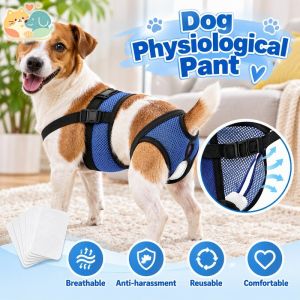 Breathable Mesh Female Dog Period Pants Reusable Antimating Sanitary Shorts With 3 Cotton Pads