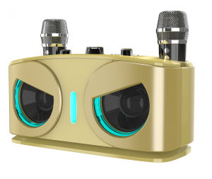 Karaoke Bluetooth Speaker With Dual Mic Wireless Bluetooth Microphone Karaoke Speaker 9D Stereo Bass Amplifier Party RGB LED Light Portable Home KTV Sound Speaker