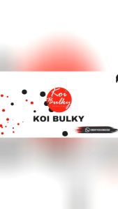 Pelet Koi Bulky Protein 52%