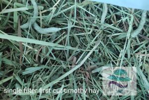 1st Cut & 2nd Cut Timothy Hay 1kg