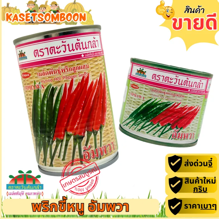 10 อันดับ เมล็ดพันธุ์พริก ยี่ห้อไหนดี? ปลูกง่าย ผลดก เผ็ดจัดจ้าน อัปเดตปี 2026