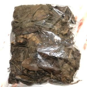 Daun Ketapang Kering Olahan