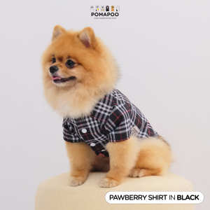 POMAPOO - Baju Kucing dan Baju Anjing  Pawberry Shirt