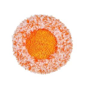 Chổi Quét Trần Nhà Cây Lau Nhà Cây Lau Trần Nhà Đa Năng Tiện Dụng Hình Tròn Hoa Hướng Dương Dài 180cm Xoay Linh Hoạt Dieulinhshop