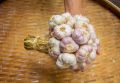 กระเทียมไทยกลีบม่วง ศรีสะเกษ 500 กรัม ครึ่งกิโลกรัม คัดพิเศษThai Garlic : 500 g. 