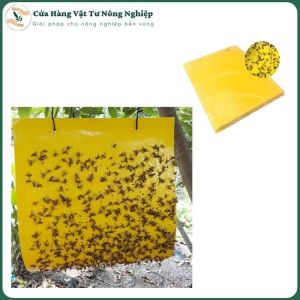 [SET 50] MIẾNG DÁN BẪY RUỒI VÀNG - CÔN TRÙNG: Bẫy Côn Trùng Sinh Học Bảo Vệ Môi Trường Tiết Kiệm Chi Phí