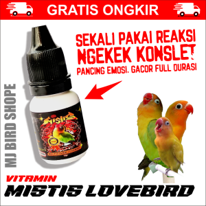 VIT Mistis Love bird | VIT Burung Lovebird Konlset Fighter