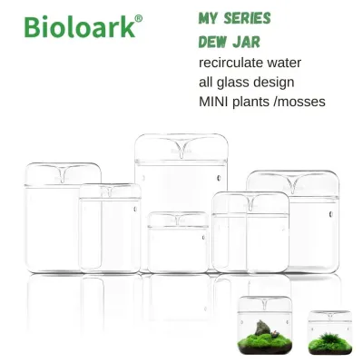 BIOLOARK Dew glass cup (micro terrarium) MY Series