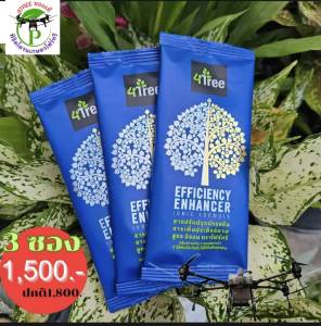 3 ซอง 4Tree โฟร์ทรีของแท้ สารเสริมประสิทธิภาพพืชสูตรอิออน ช่วยเร่งราก พืชโตเร็ว ทำให้พืชเขียวทน ใช้ได้กับพืชทุกชนิด นวัตกรรมใหม่จากประเทศอิสราเอล ของแท้100%