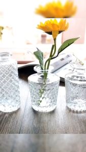 Nurm Vintage Glass Vase Mini Transparent Hydroponic Flower Vase Desktop Home Decor Glass Prop 1Pc