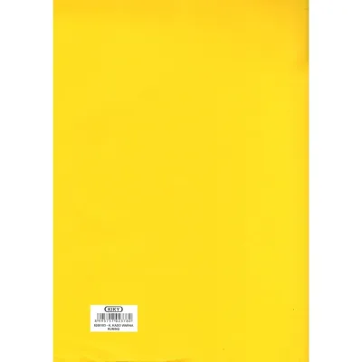 RGT - 10 Pcs Kertas Kado Kiky Warna / Kertas Sukung Kertas Sampul Buku