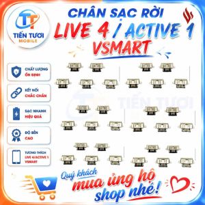 Chân Sạc rời Live 4 /active 1 plus  VSMART