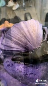 🔥READY STOK🔥Ash Purple 9-41Hair Dye Colour Cream 100ML/Popular Profesional Hair Colour  warna rambut