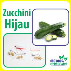 Benih Zucchini Hijau Unggulan kuning berkualitas biji bibit hydroponik hidroponik tanaman labu sayur zukini jepang
