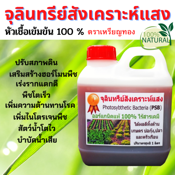 จุลินทรีย์สังเคราะห์แสง ออร์แกนิกแท้ บำรุงพืชและปศุสัตว์