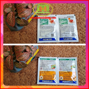 Trừ sâu sinh học Radiant bọ trĩ sâu ăn lá cho hoa hồng mai vàng rau sạch Minh Hân Garden
