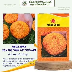 Hạt Giống Vạn Thọ Lùn F1 BINDI Cam Đỏ – Cổ Lùn Bông To – Mega Seed