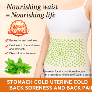 Summer Mugwort Dehumidification Waist Care Adjustable Breathable Stomach Heating Belt 天草除湿护腰