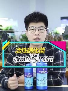 【Ship in 24H】[Ready]Crazy Stone Fish Tank Water Purifier Immediate Clearing No Change Quality Purification Must Clean Clarification Agent Turbid疯狂石头鱼缸凈水剂水立清免换水质凈化必定清澈清洁澄清剂水浑浊