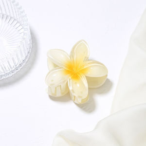 🔥Fashion Flower Hair Clips Girls Acrylic Hairpin Summer Beach Women Hair Accessories LovelylifeFu👍