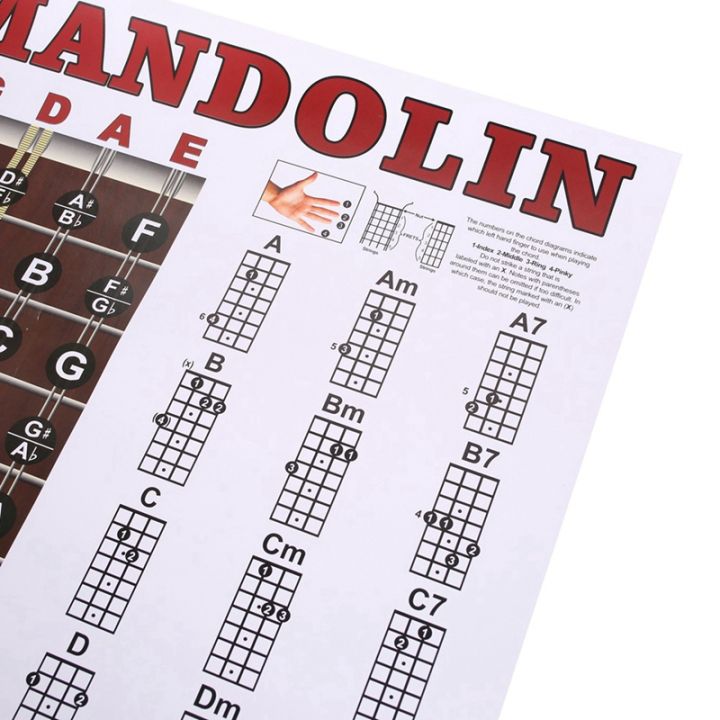 Mandolin Poster Chart Chord Musical Trainning Instrument Guide Chords ...