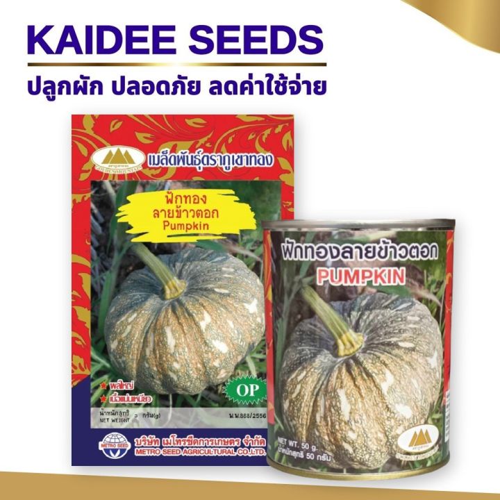 เมล็ดฟักทองลายข้าวตอก Pumpkin ตราภูเขาทอง เนื้อหนาเหนียว ลูกใหญ่