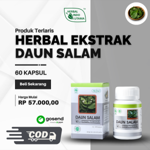 Ekstrak Daun Salam 60c - Herbal Penurun Tekanan Darah & Asam Urat
