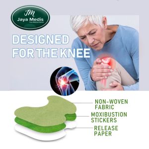 Plester Koyo Untuk Nyeri Sendi Lutut Kaki 2 pcs