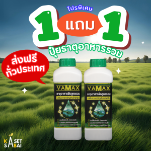 VAMAX  ปุ๋ยธาตุอาหารรวม เสริมการเจริญเติบโต ส่งฟรี