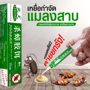 กำจัดแมลงสาบ ตายยกรัง เห็นผลเร็ว 1 คืน กำจัดแมลงสาบ ตายยกรัง เห็นผลเร็ว 1 คืน