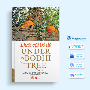 Sách - Dưới Cội Bồ Đề-Vanlangbooks