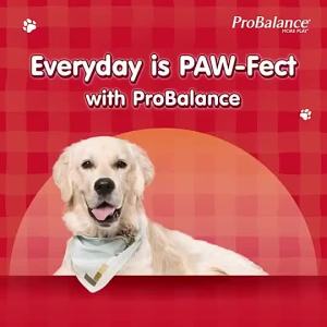 Dry Dog Food - Lamb (3.2kg)