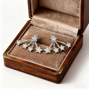 AFGYJT Light Luxury Star Crystal Earrings Elegant Claw Shape Sparkling Studs Trendy Classic Zircon Earrings Women For Men And Women
