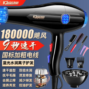 German hair salon special electric hair dryer household high power 5000w hair stylist barber shop hair dryer 3000W