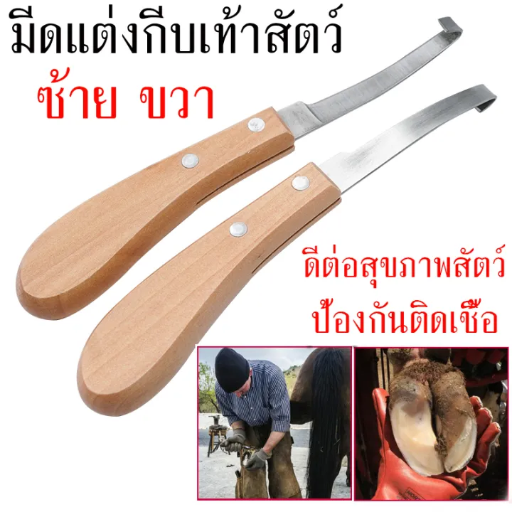 มีดแต่งกีบเท้าสัตว์ ด้ามซ้าย-ขวา