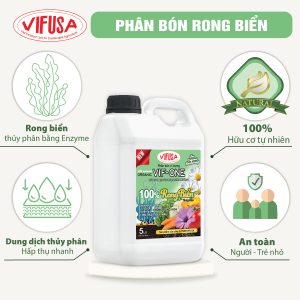 VIF-ONE - Phân bón rong biển can 5L