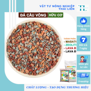 Đá Cầu Vồng- Trồng Sen Đá - Đá Mix Trộn Giá Thể Rãi Mặt Chậu