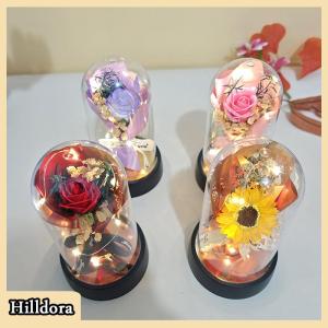 [Hilldora] 1 Set Eternal Rose Light Soap Flower In Acrylic Cover LED Valentine Day Gift For Girlfriend Mothers Day Wedding Bridesmaid Gift