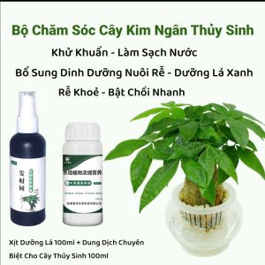 Bộ Chăm Sóc Cây Kim Ngân Thủy Sinh: Xịt Dưỡng Lá Bật Chồi Nhanh + Dinh Dưỡng Thủy Sinh Kích Rễ Chống Vàng Lá Sạch Nước