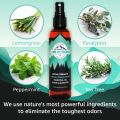 Lumi Outdoors Shoe Deodorizer & Foot Odor Eliminator Spray - Natural Shoe Smell Remover - Extra Strength Eucalyptus Lemongrass Freshener 118g. 