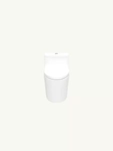 JIJI.SG Aviel Toddler Potty Training Seat with Ladder Foldable Toilet Non Slip