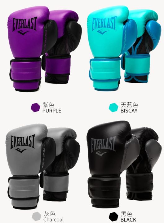 Everlast Powerlock 2 10 oz Training Gloves