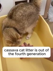 clear Plant-mixed Cassava Cat Litter 2.4kg/6L