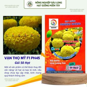 Gói 50 Hạt Vạn Thọ Thái Lùn F1 PH45 – Vàng Chanh Cao 35–45cm